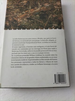 La Princesa prometida