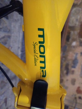 Bicicleta Plegable Edición Limitada