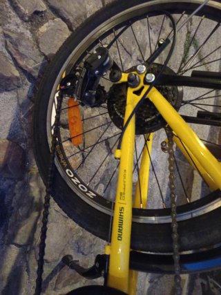 Bicicleta Plegable Edición Limitada