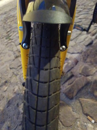 Bicicleta Plegable Edición Limitada