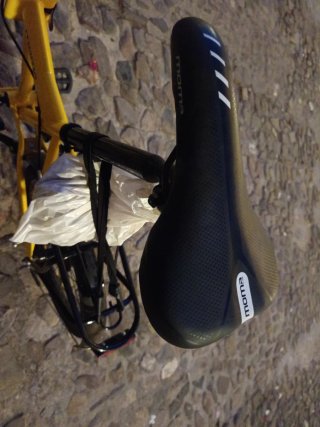 Bicicleta Plegable Edición Limitada