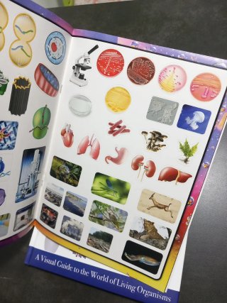 WONDERS OF LEARNING DISCOVER BIOLOGY - STEM