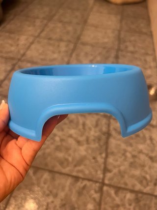 Cuenco para perros