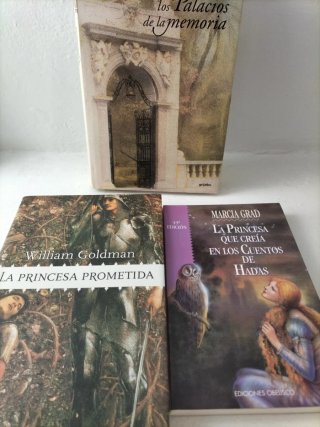 Lote fantasía y princesas