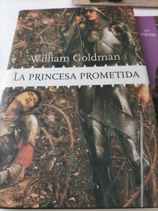 Lote fantasía y princesas