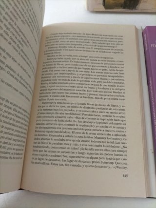 Lote fantasía y princesas