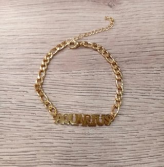 Pulsera Acuario Acero Inoxidable Dorada