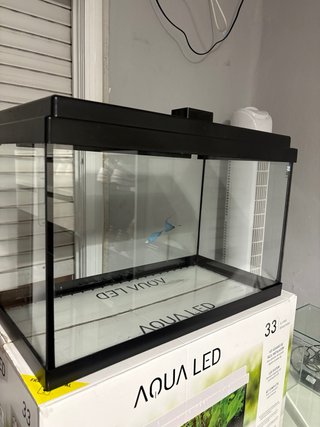 Kit Acuario Aqua LED 33 Litros