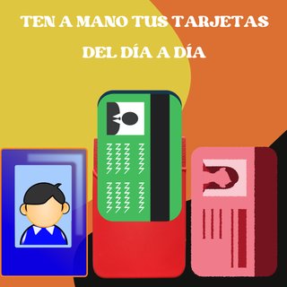 Pack 50 Tarjeteros Móvil Nuevos