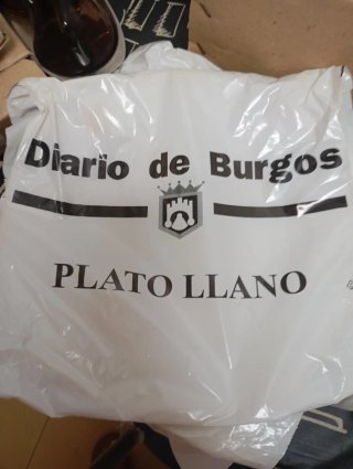 Plato de porcelana blanco con borde dorado