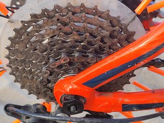 Bicicletta da montagna TREK arancione