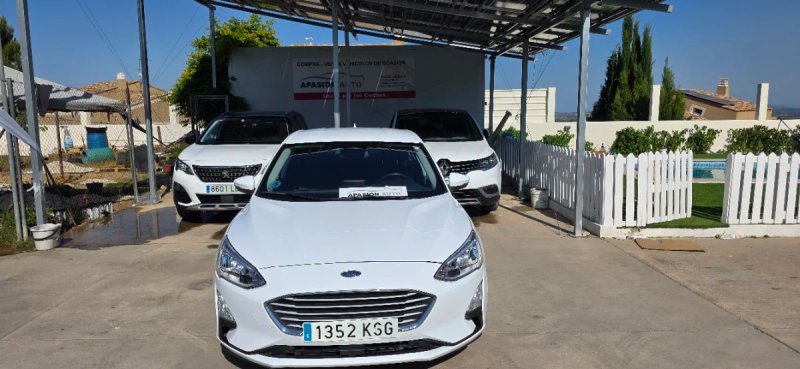 Ford Focus 1.5 EcoBlue Titanium 2019, foto 12