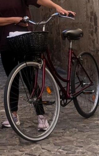 Bicicleta Urbana Clásica Cuadro Bajo