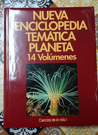 Colección de enciclopedia en muy buen estado.