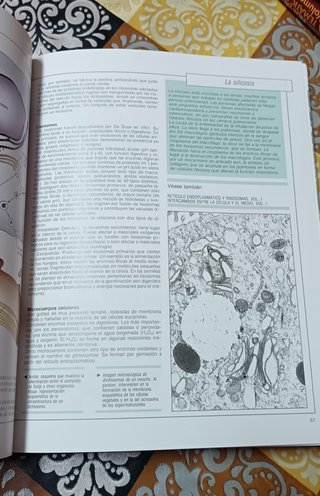 Colección de enciclopedia en muy buen estado.