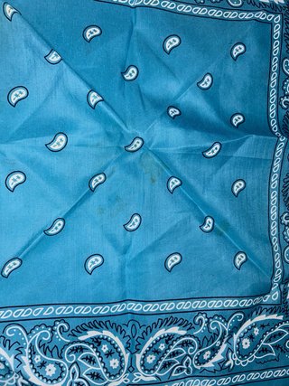 Lote 5 Pañuelos Estampados