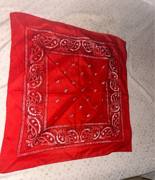 Lote 5 Pañuelos Estampados
