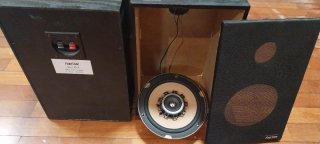 Bafles antiguos Fonestar C-7 Altavoz PS-522