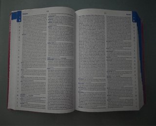 Diccionario intermedio primaria lengua española SM
