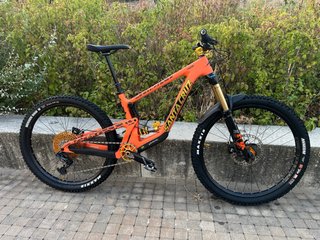 Santa Cruz Bronson talla M
