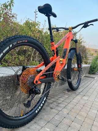 Santa Cruz Bronson talla M