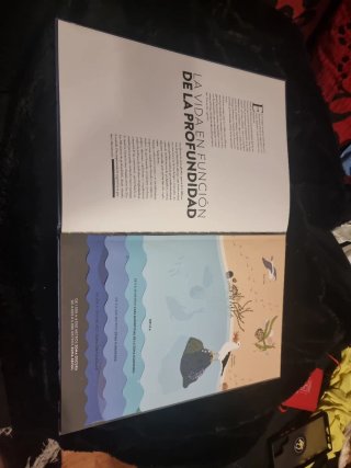 Libro