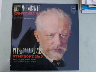 Oltre venti dischi vinile 33 giri