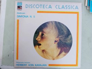 Oltre venti dischi vinile 33 giri