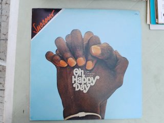Oltre venti dischi vinile 33 giri