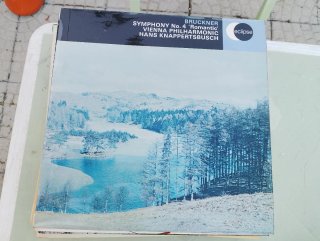 Oltre venti dischi vinile 33 giri