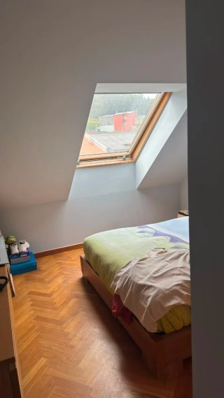 Servicios de Pintura y Pasta