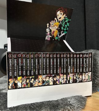 Cofre manga Guardianes de la noche
