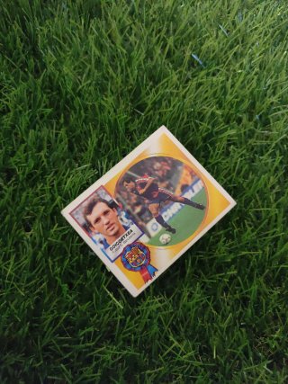 Goicoetxea Baja F.C.Barcelona temporada 94/95