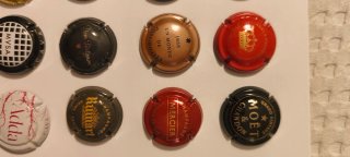 Lote 25 Chapas Champagne y Cava