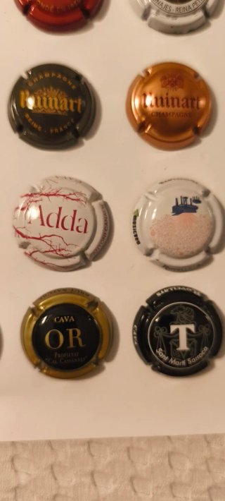 Lote 25 Chapas Champagne y Cava