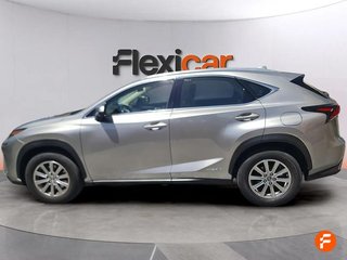 Lexus NX 2.5 300h Business 2WD