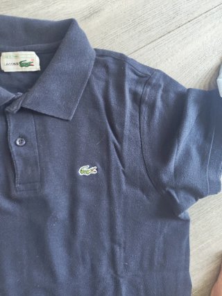 Lote 6 polos Lacoste, Scalpers