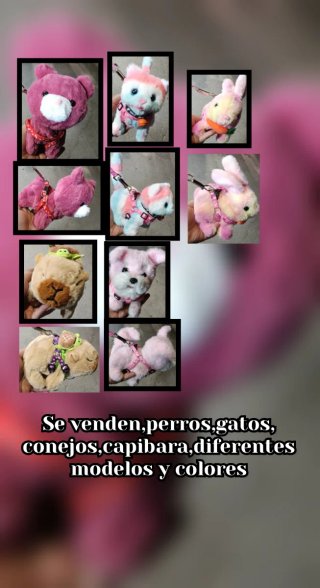 Peluche
