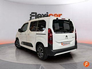 Citroën Berlingo Talla M BlueHDi 130 S&S EAT8 SHINE