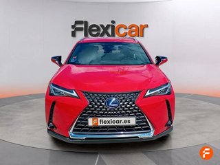 Lexus UX 2.0 250h Business