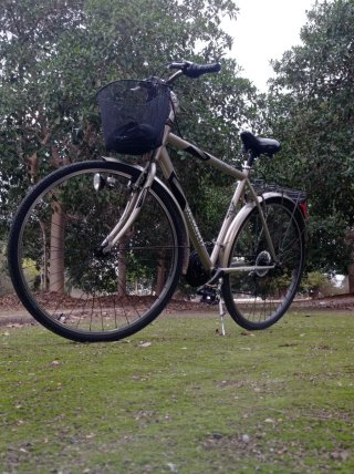 Bicicleta con cesta y portaequipajes