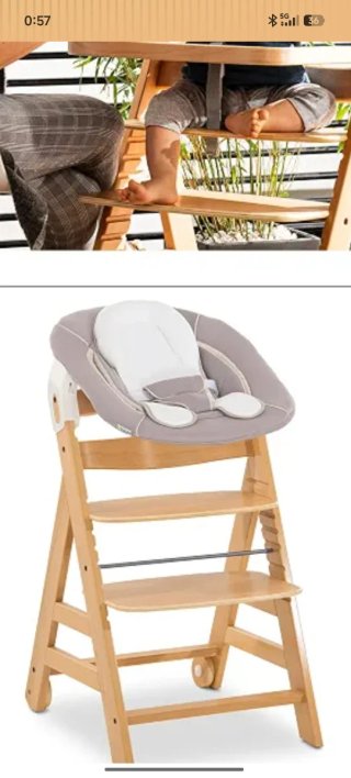 Hauck Alpha Bouncer 2-in-1