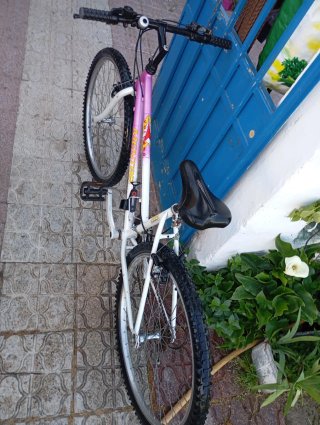 Bicicleta Menta Rosa y Blanca
