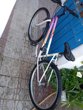 Bicicleta Menta Rosa y Blanca