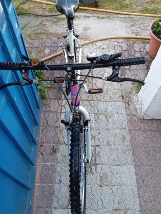 Bicicleta Menta Rosa y Blanca