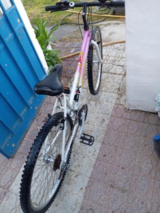 Bicicleta Menta Rosa y Blanca