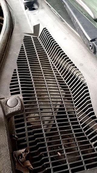 MOTOR LIMPIA DELANTERO Fiat Grande Punto (199)(2005->)