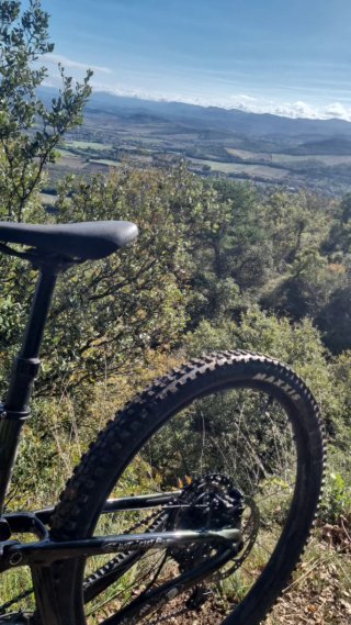 Giant Trance X 2024 Bicicleta Trail Fox 36