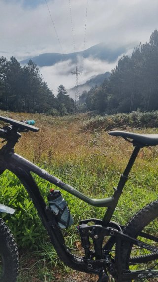 Giant Trance X 2024 Bicicleta Trail Fox 36