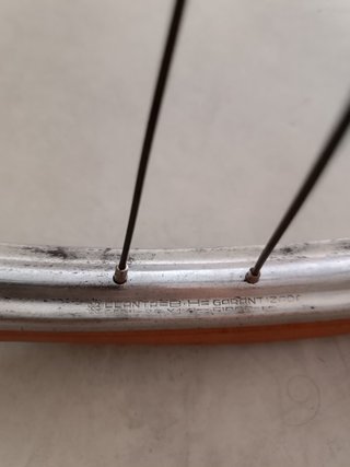 Llanta BH Antigua - Vintage 26"